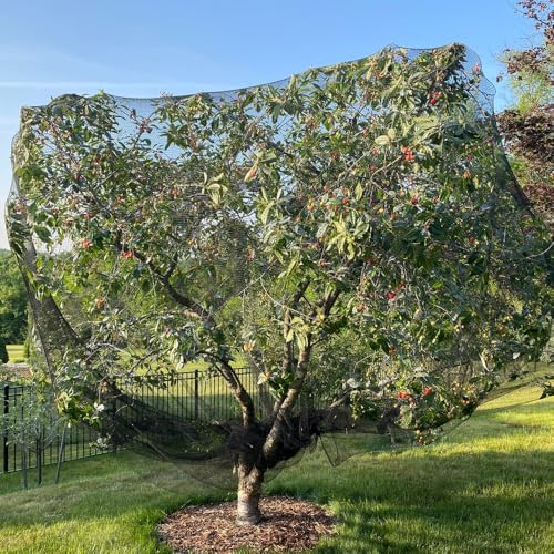 Bird Netting for Chicken Coop 50x50 Ft, 1" Mesh Aviary Netting | Woven Chicken Run Roof Cover, Protects Against Hawks & Predator, Heavy Duty Bird Net for Fruit Trees & Garden Protection - size: 50x50Ft-1"
