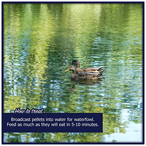 Natural Waterscapes Waterfowl Feed Open Water Diet 40 lb | for Feeding Ducks Geese Swans | Floating Pellets with Niacin for Ducks