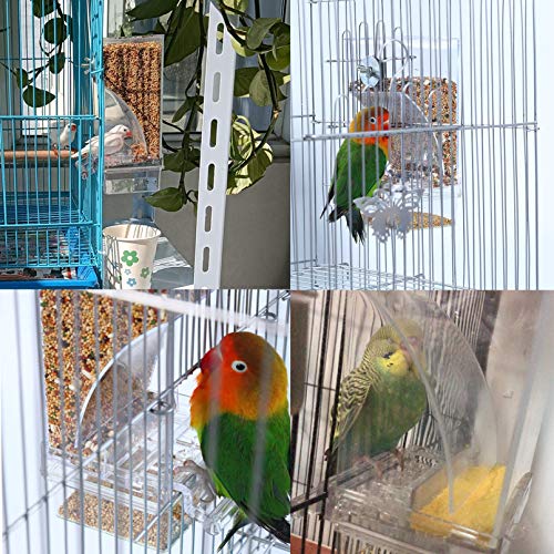 Hamiledyi Automatic Parrot Feeder for Lovebirds, Transparent Seed Container, Acrylic Cage Accessories, No Mess Food Dispenser for Small and Medium Birds - color: Transparent + Ball