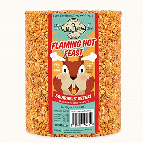 Mr. Bird Flaming Hot Feast Large Wild Bird Seed Cylinder 4 lb. 3 oz. | Premium Blend of Mealworms, Peanuts & Hot Pepper | Squirrel Repellent | Handcrafted in Texas - size: 4.19 Pound (Pack of 1)