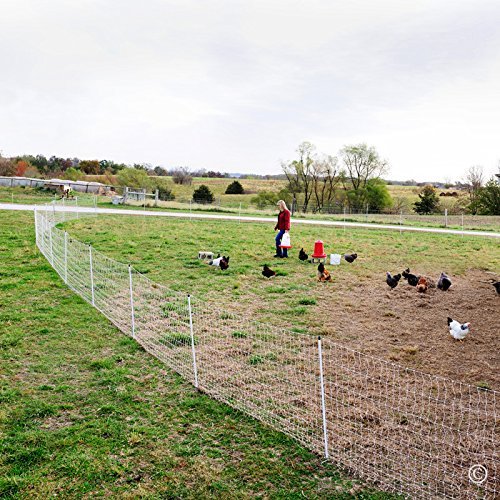 Premier 1 PoultryNet® Electric Fence for Chickens – 48"H x 164'L | White/black, step-in posts. Contains chickens, ducks & turkeys. Keeps out coyotes, foxes & dogs. Energizer sold separately.