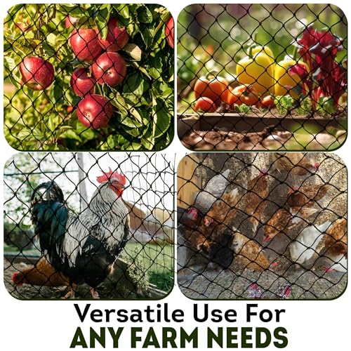 Heavy Duty Bird Netting for Chicken Coops & Runs | Keep Hawks, Birds & Predators Away | Hawk Netting 1.5 mm Thickness - Mesh 2"x2" | Aviary Net 50 x 100 ft (25 x 50 ft) - size: 25 x 50 ft