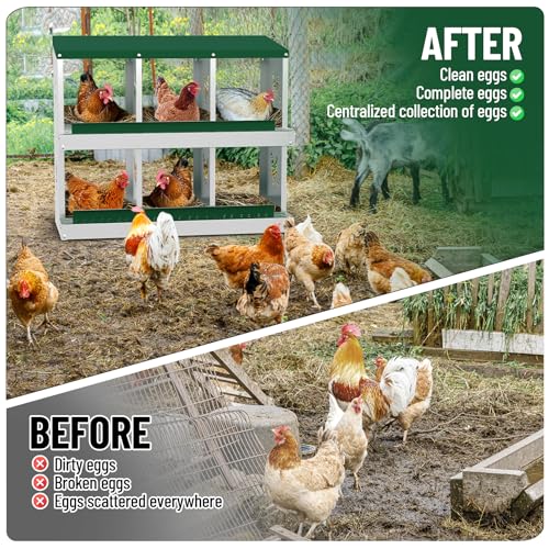 Garvee 6-Compartment Metal Chicken Nesting Box, Rustproof Galvanized Steel with Ventilated Holes, Removable Trays & Sturdy Bracket Legs, Easy Egg Collection - Green - color: Green, size: 6 Compartments