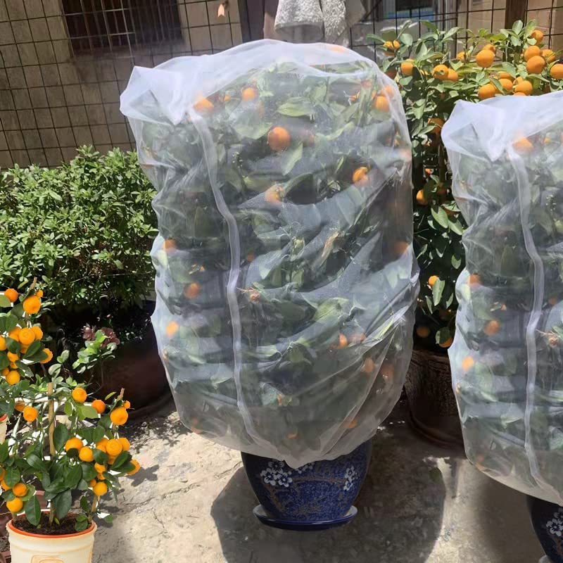 Agfabric Bird Netting 72" Hx72 W Garden Netting Insect Pest Barrier,Plant Cover Fruit Tree Netting Mesh Protection Bag with Zipper,White - size: 72"x72"