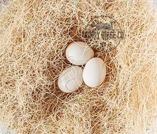 Natural Chicken Nesting Pads - 10 Pack - Aspen Excelsior Bedding Hen Nest Box Liners - USA Made - 13" x 13"