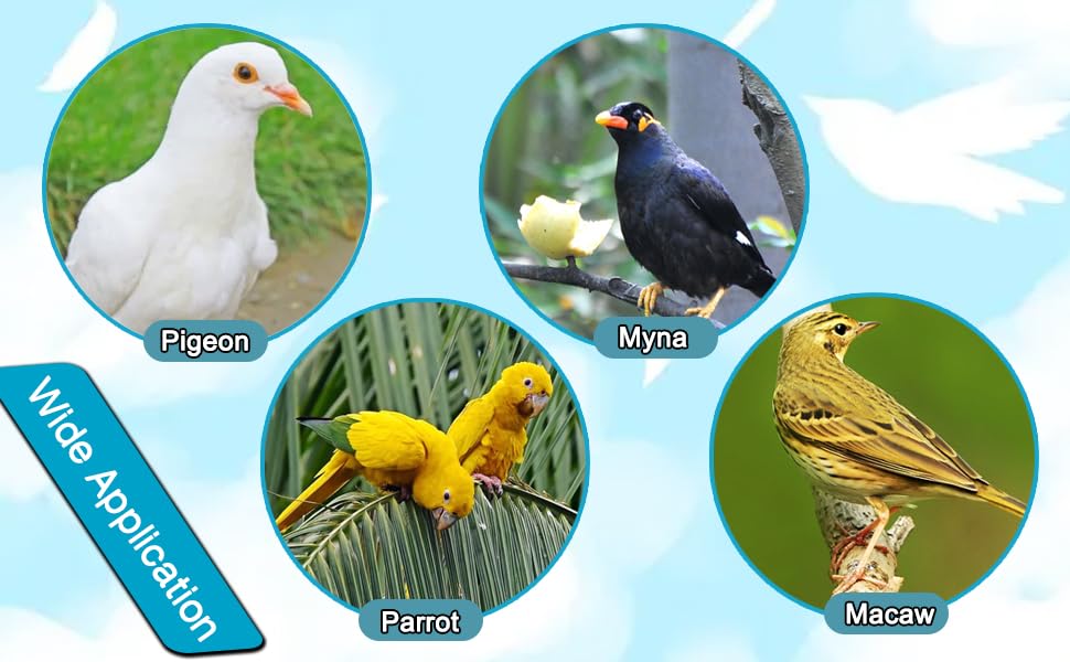 10 Pcs Bird Drinker Feeder Plastic Soda Pop Water Bottle Cup Pigeon Water Bottle Feeder for Cage for Chicken Pigeons Birds (Plastics, 10pcs)