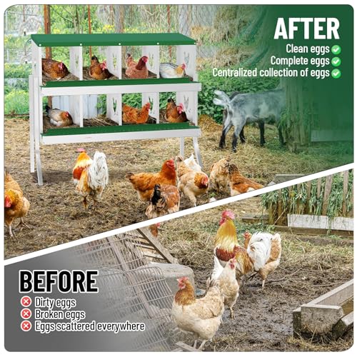 GarveeLife 8 Compartment Chicken Nesting Box with Metal Legs, Nesting Boxes for Chickens, Metal Chicken Laying Boxes with Perch, Secure Lid, Versatile Wall Mount or Free Standing for Hens, Green - color: green, size: 8 grids with legs