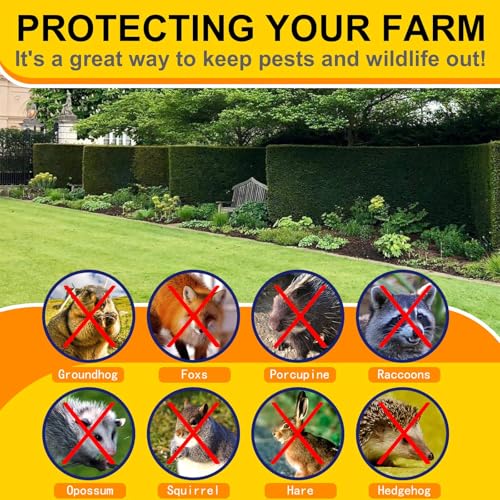 Black Hardware Cloth 1/4inx36inx100ft, Chicken Wire Fencing, 22Gauge, Vinyl PVC Coated Mesh, Welded Wire mesh, Perfect for Gopher Wire, Rodent Mesh, Tree Guard, Chicken Coop - size: 1/4inx36inx100ft