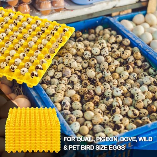 Teenyyou 10 Pcs 90 Egg Plastic Trays Quail Egg Flats Holder for Quail Pigeon Dove Bird Flat Carton (Yellow) - color: Yellow
