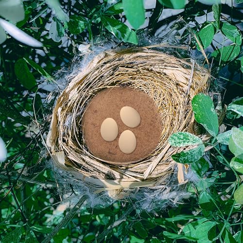 SEWACC 10Pcs Natural Palm Nest Pads for Pigeon Egg Hatching Breathable Bird Breeding Mats Pet Supplies Suitable for Parrots Hamsters and Poultry Eco-Friendly Material