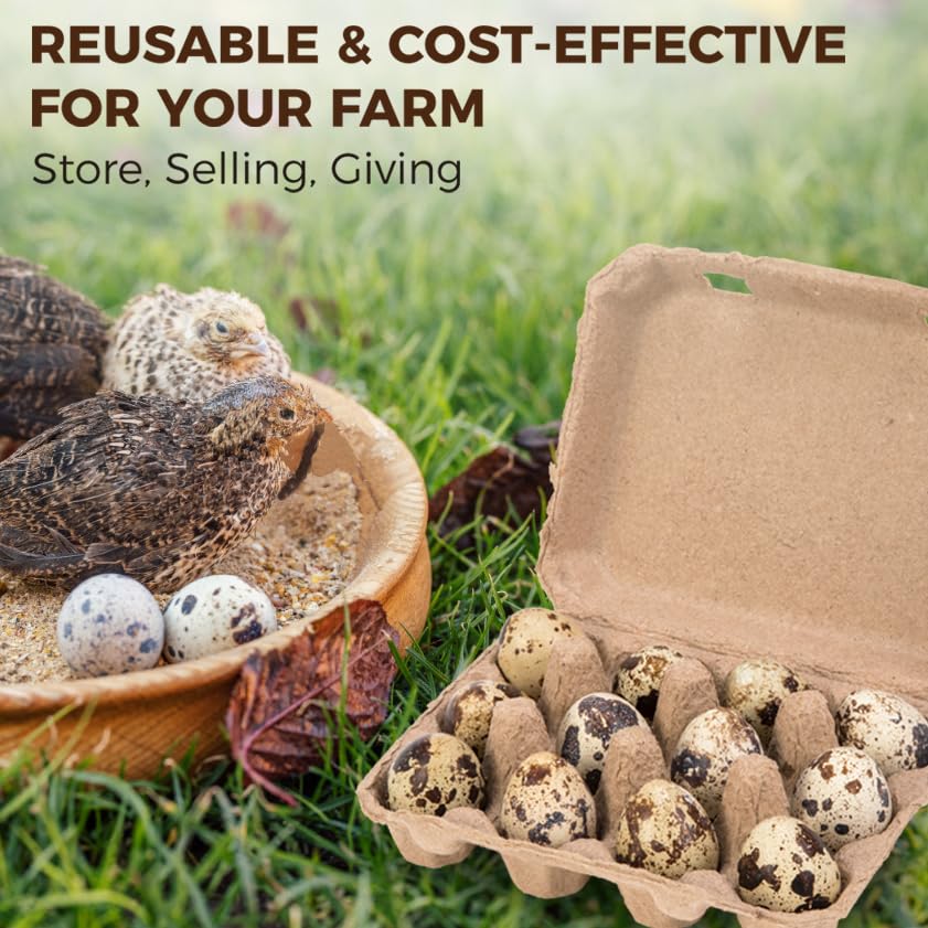 50 Pack Quail Egg Cartons, 3x4 Style Paper Pulp Quail Egg Trays, Sturdy & Reusable Quail Egg Holder 12 Count Dozen Quail Egg Storage Tray for Farmers, Home Use & Transport - style: 50Pcs Quail Egg Carton