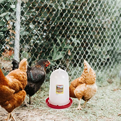 Little Giant Extra Large 3-Gallon Capacity Heavy-Duty Plastic Gravity Fed Poultry Waterer System (2 Pack)