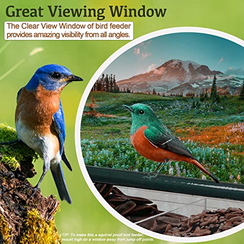 Acrylic Window Bird Feeder with 4 Strong Suction Cups, Clear and Transparent Bird House, Removable Food Tray with Drain Holes, Easy Install and Clean for Backyard and Viewing