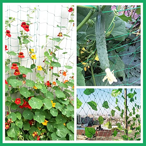 Trellis Netting for Climbing Plants Garden Plant Netting | 6 Ft x 12 Ft Green Heavy-Duty Plastic Plant Trellis Netting for Tomato, Cucumber, Plants, Fruits, Flowers