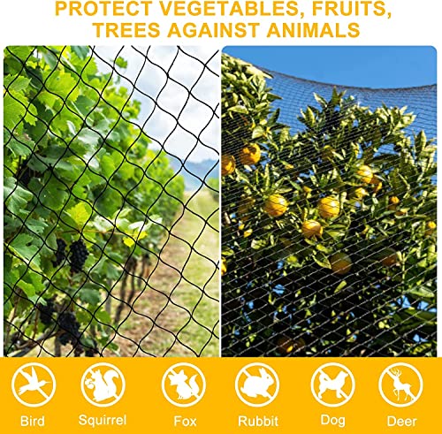 BSTPCOO Chicken Netting 25'x25', with 1" Mesh Bird Netting for Chicken Coop | Heavy Duty Nylon Netting, Poultry Netting Over Chicken Run, Garden Net for Blueberry Bushes, Fruit Trees and Vegetable - size: 25'×25'-1''