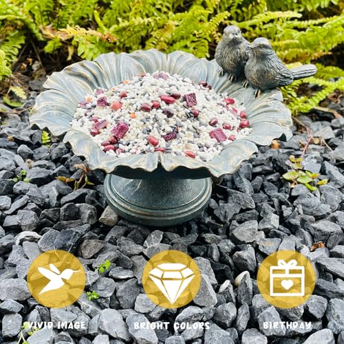Bird Baths for Outdoors, Resin Pedestal Bird Bath Bowl with Bird Accents, Garden Decoration Bird Feeder for Patio, Lawn, Yard, or Table Decor - color: Hummingbird Feeder