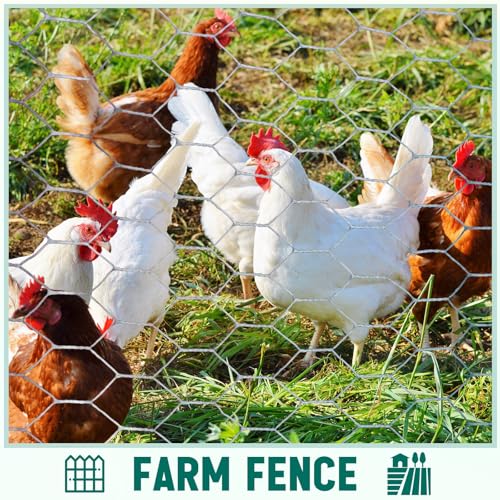 GlikCeil 36 in x 100 ft Chicken Wire Fencing Metal Floral Chicken Wire Mesh for Crafts Poultry Garden, 1 Inch Hexagonal Galvanized Hardware Cloth Netting for Poultry Coop Barrier Rabbit Cage(Silver) - color: Silver, size: 36 in X 100 ft