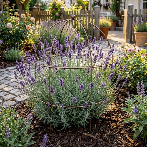 2 pcs 20-1/4" x 26" H Bronze Bird Cage Plant Support Heavy Duty Metal Bird Cage Plant Support Large Outdoor Garden Trellis for Peonies, Baptisia, Sedum & Other Perennials