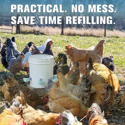 (6 Pack) Chicken Water Cups Feeder, Automatic Chicken Waterer, Anti-Leak System, Holds 50% More Water, Suitable for Chicks, Chicken, Duck, Quail, Turkey - size: 6