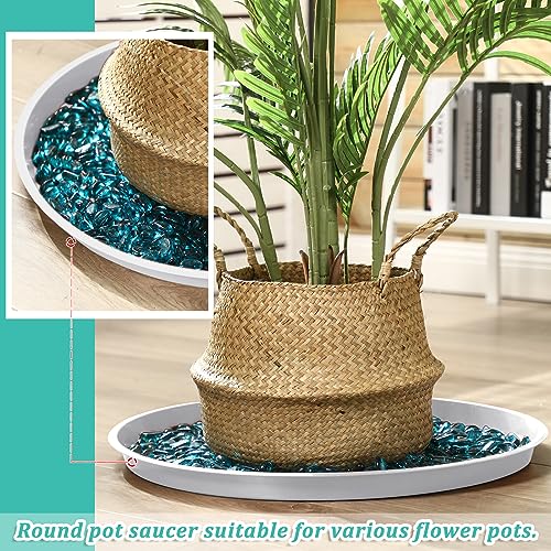 Eccliy 6 Pack Plastic Plant Saucer Heavy Duty Planter Saucers Large Plant Pot Saucers Plastic Water Trays for Indoors and Outdoors Flower Plant Plant Drip (White,23 Inch) - color: White, size: 23 Inch, style: Round