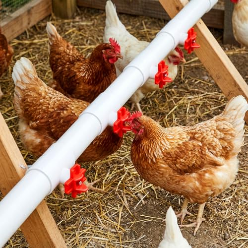 24 Pack Horizontal Chicken Water Nipples with 1/2'' PVC Tee Fittings Automatic Chicken Water Feeder Easy Install Chickens Nipples Waterer Horizontal Side Mount Poultry Nipple Waterer