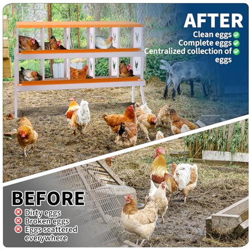 10 Compartment Galvanized Metal Chicken Nesting Box with Support Legs, Easy Install & Clean Roll Out Egg Laying Boxes for Backyard Chicken Coop, Anti-Rust Egg Protection Nest,Orange - color: Orange, size: 10 holes with legs
