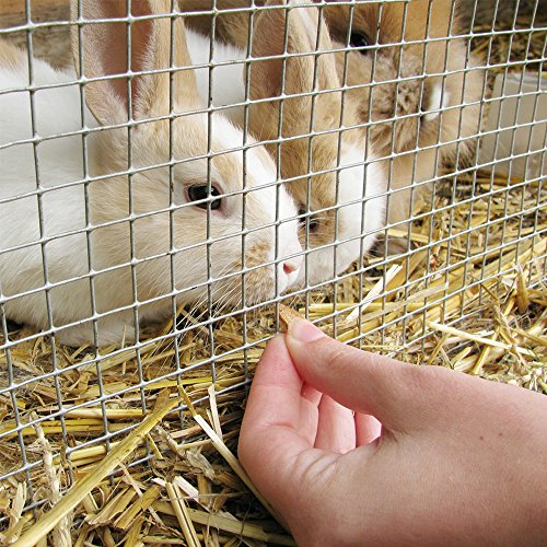 YARDGARD – 1/2 Inch Mesh Welded Wire Fence Hardware Cloth – 24 in. x 25 ft. 19‑Gauge Galvanized Steel – for Chicken Coops | Garden Protection | Bird and Rabbit Enclosures - size: 24" Inched by 25 Feet