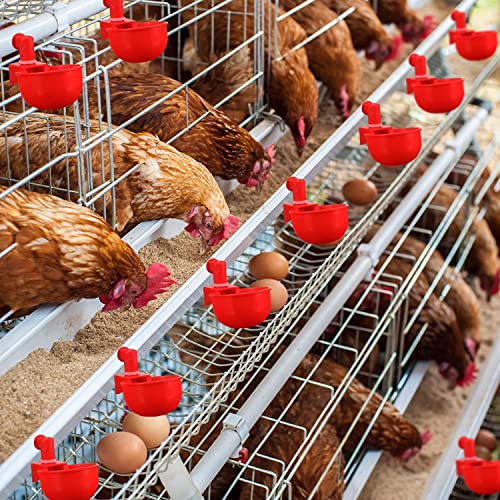 Chicken Water Cups 6 PCS Automatic Watering Cup 3/8 Inch Filling Waterer Poultry Drinking Bowl for Duck Rabbit Feeder with Drill Bit