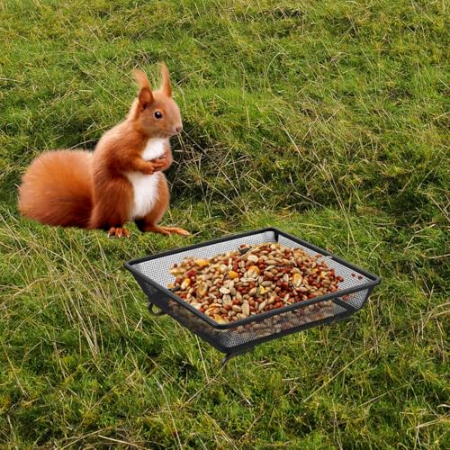 2 PCS Metal Ground Bird Feeder Tray, Platform Feeders with Drainage Holes, Outdoor Wild Bird and Squirrel Feeders for Garden, Patio, Backyard, 6.9x6.9x2.4 Inch