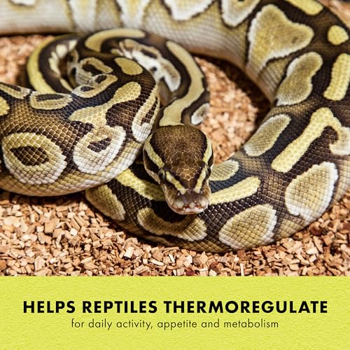 Zilla Heat Mat, Terrarium Heater for Reptiles, Snakes (Ball Pythons, Corn Snakes), Leopard Geckos, Tortoises, Amphibians and Arachnids, Medium, Fits 30-40 Gallon, 16 Watt | Terrarium Heater for Reptiles, Snakes (Ball Pythons, Corn Snakes), Leopard Geckos,