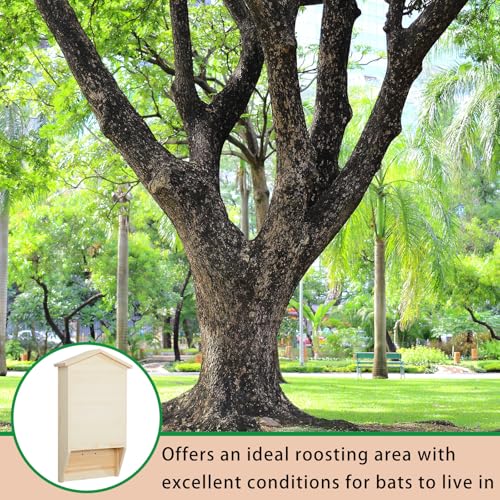 2 Pack Bat House for Outdoor,Wood,Large,2 Chamber-pr | Large Cedar Wood Weatherproof Bat Boxes for Outside Trees, Dual Chamber Shelter with Grooved Landing for Backyard Roosting - color: Wood, style: 2 Chamber-pr