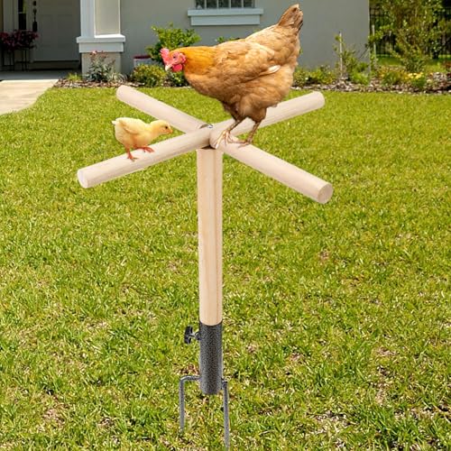 Chicken Perch Toys for Coop, Sturdy Chick Perch Stand Wooden with Metal Ground Plug Chicken Roosting Bar Backyard Playground Chicken Coop Toy Suitable for Poultry Chicks Bird Parrot