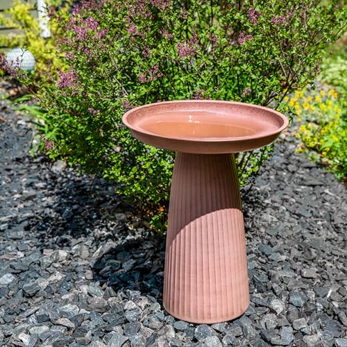 Sunnydaze Modern Bird Bath for Outside, Iron, 23” H, Matte Canyon Clay | UV & Rust-Resistant Matte Finish, Durable Iron,1 Gal Water Cap, Outdoor Birdbath for Garden, Pedestal Bird Bath with Bowl - color: Matte Canyon Clay