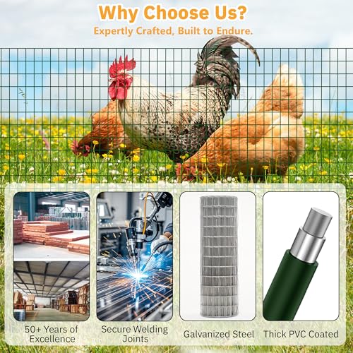 Green Metal Garden Fence,72inch(H) x 50ft(L),2 inch x 4 inch,12.5GA Coated (14GA Bare) 2/3/4/5/6 Ft Tall Chicken Wire PVC Coated Welded Wire Mesh Roll for Dogs Border Yard Vegetable Plant Poultry - color: Green, size: 12.5GA 2x4 72"x50'