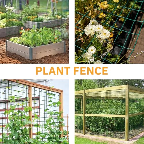 Green Metal Garden Fence,60inch(H) x 100ft(L),2 inch x 4 inch,12.5GA Coated (14GA Bare) 2/3/4/5/6 Ft Tall Chicken Wire PVC Coated Welded Wire Mesh Roll for Dogs Border Yard Vegetable Plant Poultry - color: Green, size: 12.5GA 2x4 60"x100'