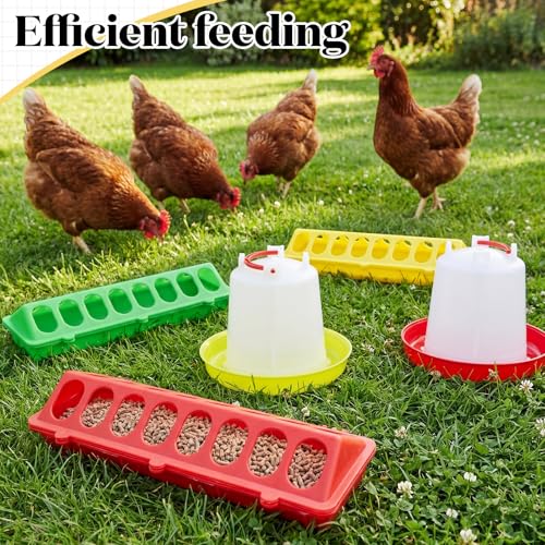 12 Pack Chick Feeder and Waterer Set, Baby Chicken Supplies with Chicks Feeder Trough and 1l Hanging & Automatic Waterer, Chicken Starter Kit for Small Poultry Ducks Quail Coop