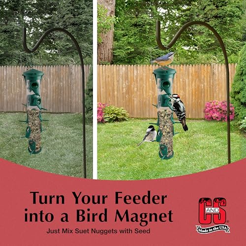 C&S Wild Bird Peanut Suet Nuggets Mega Box, 8 Pounds - size: 8 Pound (Pack of 1)