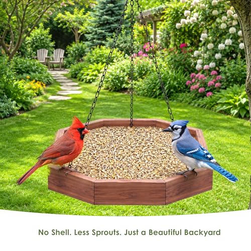 Kaytee Ultimate No Mess Food, Wild Bird Seed for Outside Feeders, Grosbeaks, Cardinals, Nuthatches, Woodpeckers & More, 9.75 Pounds - size: 9.75 Pound (Pack of 1), style: No Mess