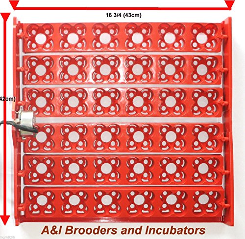 A&I Brooders and Incubators 110Volt AC 144 Quail Egg Automatic Turner RPM for Incubator Avian Poultry Local USA Distributor * 110 Volt * Full Warranty