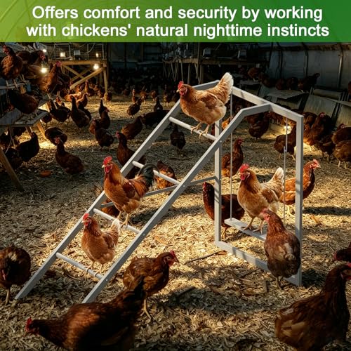 Chicken Perch Swing for Coop,Roosting Bars with Ladder for Chicken Run Accessories Toys for 6-8 Bantam Flock, Backyard Farm Chickens Coops Poultry-Easy to Assemble and Clean - size: 42.5"L x 24.6"W x 31.2"H