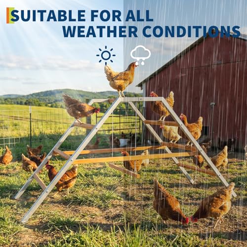 Garvee Chicken Perch with Swing, Chicken Roosting Bars for Healthy Poultry | Solid Wood Ladder & Rustproof Metal Frame for Chickens' Health and Happiness, Chicken Run Toys for Backyard Coops Farms