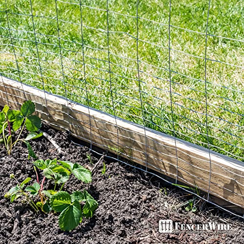 Fencer Wire Rabbit Guard Fence, 16 Gauge Galvanized Welded Wire Fence for Preventing Rabbits, Dogs, Cats, Chickens, and Other Small Animals from Damaging The Garden (24 in. x 50 ft.) - size: 24 in. x 50 ft., style: Galvanized Welded