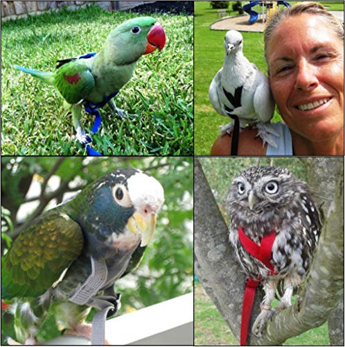 Aviator Bird Harness - color: Black, size: Small
