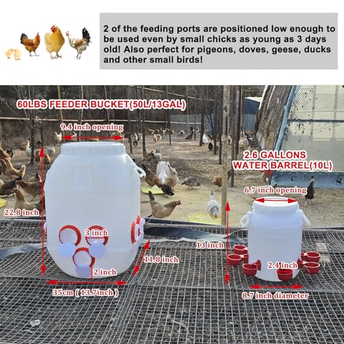 Rainproof Chicken Feeder and Chicken Waterer Set (13 Gallon/60 Pounds) Automatic Chicken Feeder Poultry Feeder Bucket with 10 Ports Chicken Waterer (2.6 Gallon/10L) with 8 Water Cups