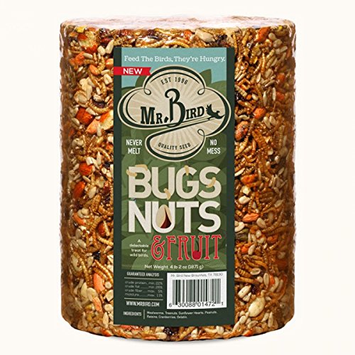 Mr. Bird Bugs, Nuts & Fruit Cylinder, 1-Pack, 4 lbs 2 oz | Wild Bird Seed For Outside Feeder | Premium Blend of Mealworms, Sunflower Hearts & Cranberries | No Mess, No Melt - size: 1 Pack