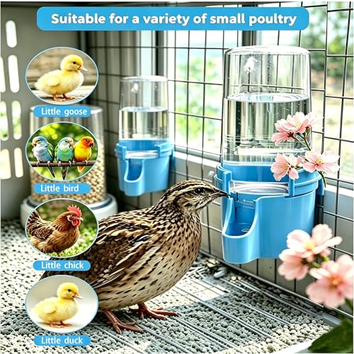 Button Quail Waterer with 1.5cm Narrow Safety Tray, 2 Pack 16.6 oz Baby Quail Chick Waterer, Automatic Gravity Water Dispenser with Integrated Hooks for Wire Mesh Cages and DIY Brooders,(Blue)