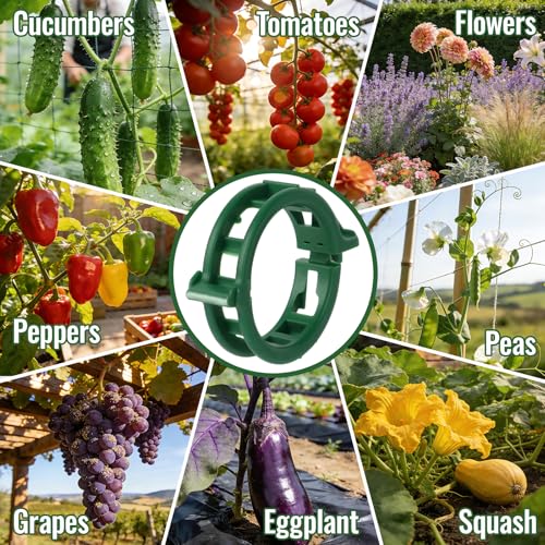 300Pcs Thickened Tomato Clips, Plant Support Clips Plastic Trellis Clips | Plant Clips for Grape Vine, Tomato Vine, Vegetable Plants, to Grow Upright Makes Plants Healthier, Green - color: Green