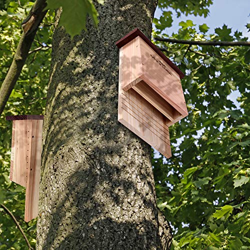 Bat House Bat Box Double Chamber Outdoor House Nursery Bat Shelter Habitat Big bat Box Handcrafted from Cedar Wood - Easy for Bats to Land and Roost - Weather Resistant & Ready to Install - color: Wood
