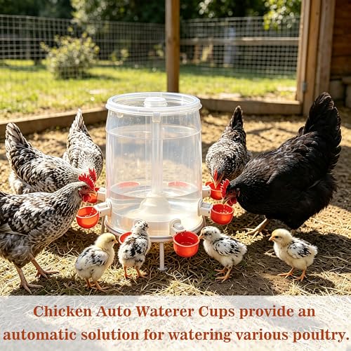 Large Automatic Chicken Waterer Cups, Poultry Watering Feeder Driking Bowl | 8pcs Poultry Water Feeder Kit for Chicks, Duck, Goose, Turkey and Bunny, Poultry DIY Gravity Fed Bucket Water Dispenser