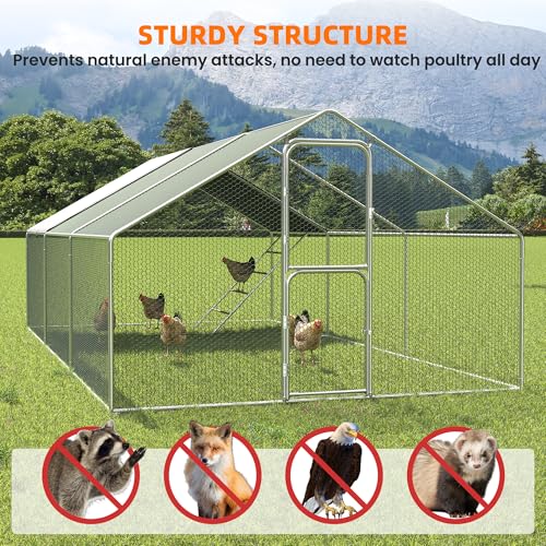 UDPATIO Large Chicken Coop & Metal Run - Spacious Walk in Pen for 20-30 Chickens with Double Feed Door, UV-Resistant Cover, Galvanized Frame - Duck & Rabbit House | Double Feed Door UV-Resistant Cover Galvanized Frame Outdoor Cage for Bird Duck Rabbit Hen